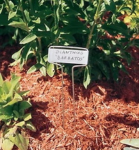 Étiquettes pour plantes et fleurs