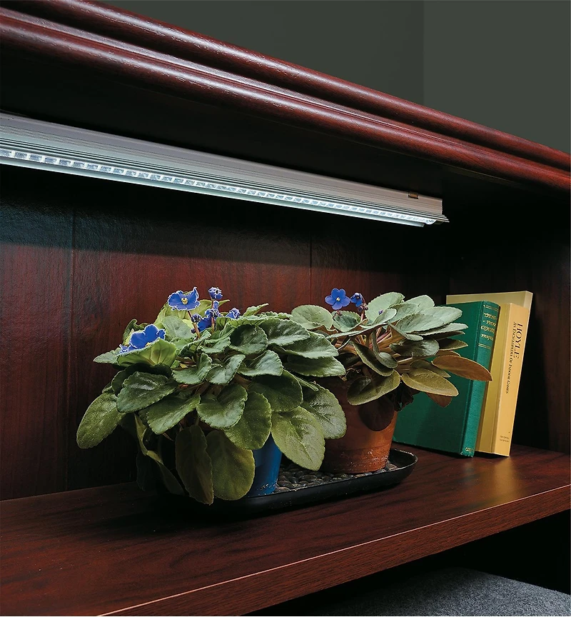 Full-Spectrum LED Grow Lights