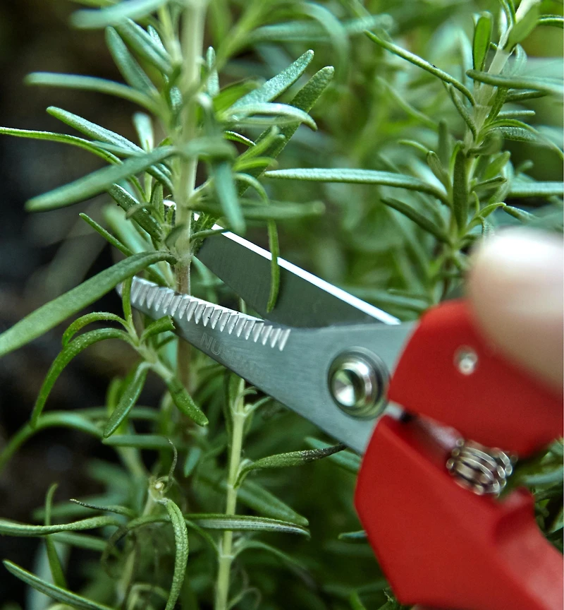 Set of 2 Multi-Purpose Mini Shears
