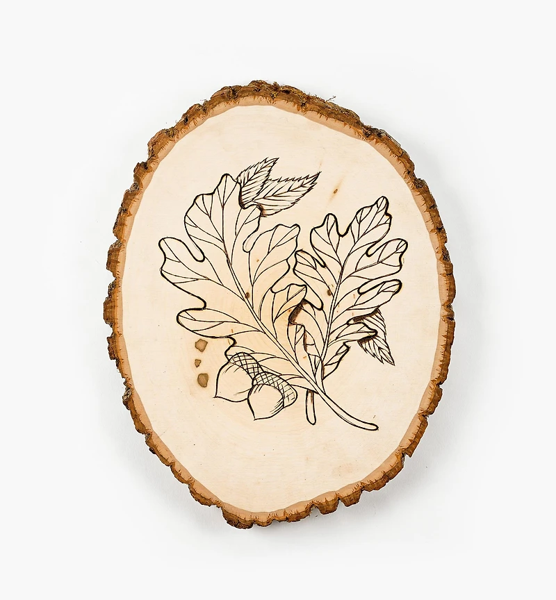 Plaques en tilleul avec écorce