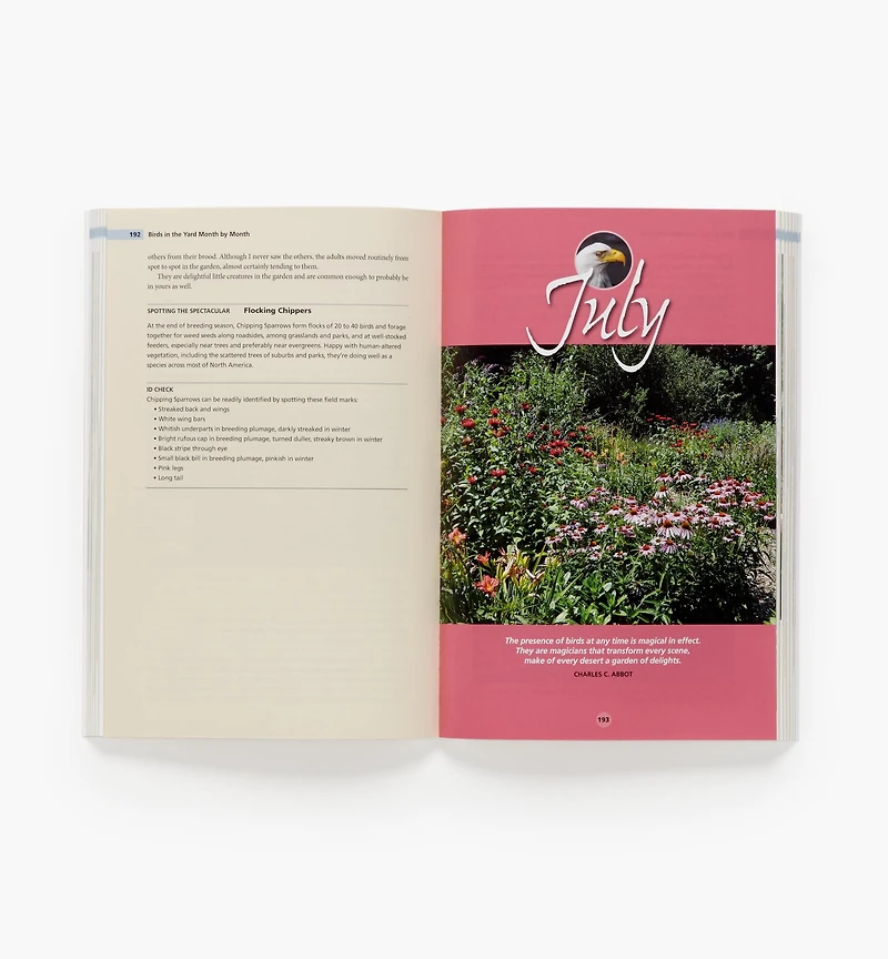 Birds in the Yard Month by Month