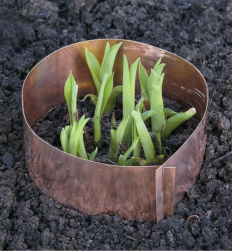 Copper Slug Rings