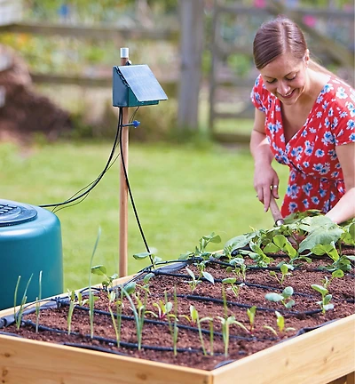 Système d'irrigation goutte à goutte à pompe solaire