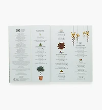 Pruning & Training