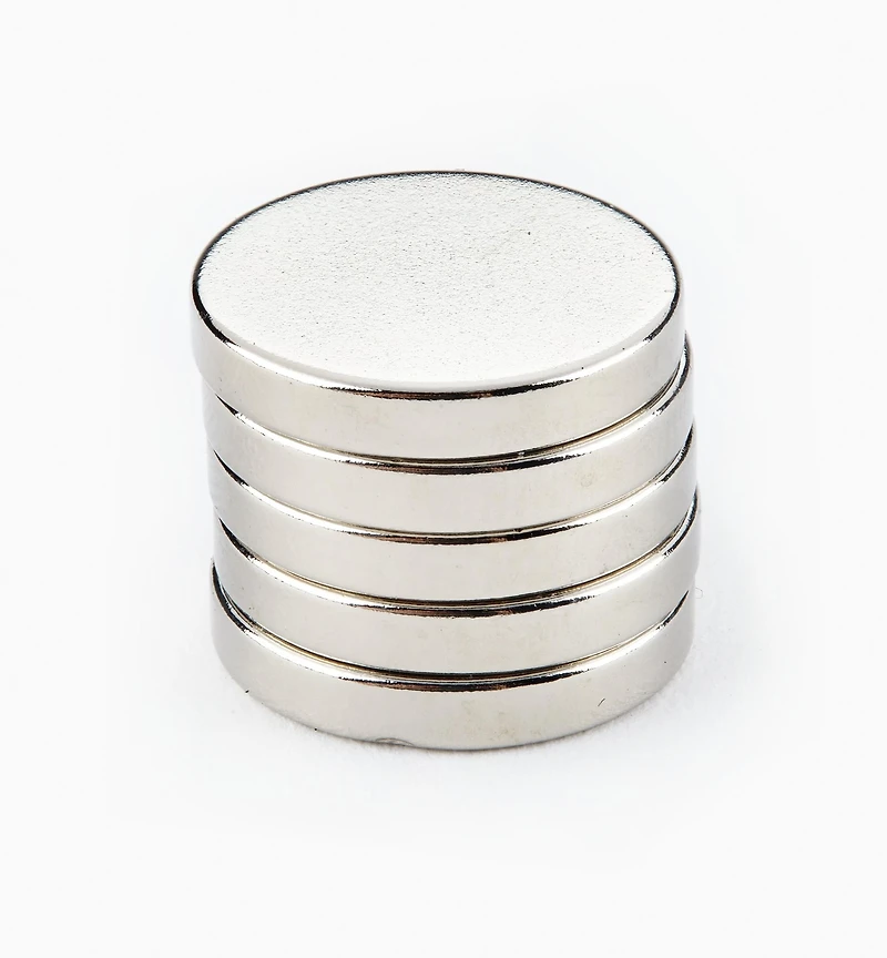 Rare-Earth Circular Magnets