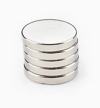 Rare-Earth Circular Magnets
