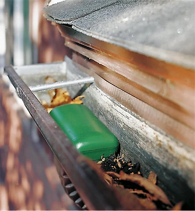 Siphon de gouttière