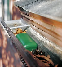 Siphon de gouttière