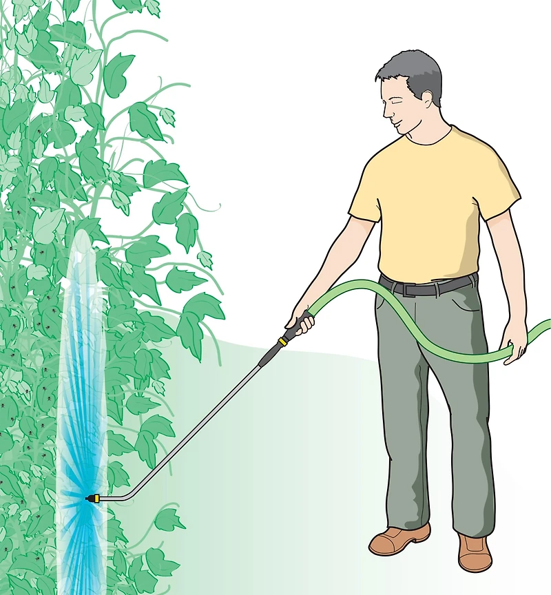 Bug Blaster & Water Wand