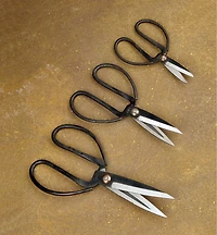 Set of 3 Traditional Chinese Scissors