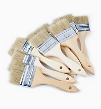 Disposable Natural-Bristle Brushes