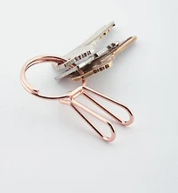 SqueezeRing Key Clip