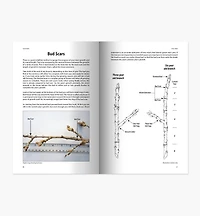 Your Trees: What They Want You to Know