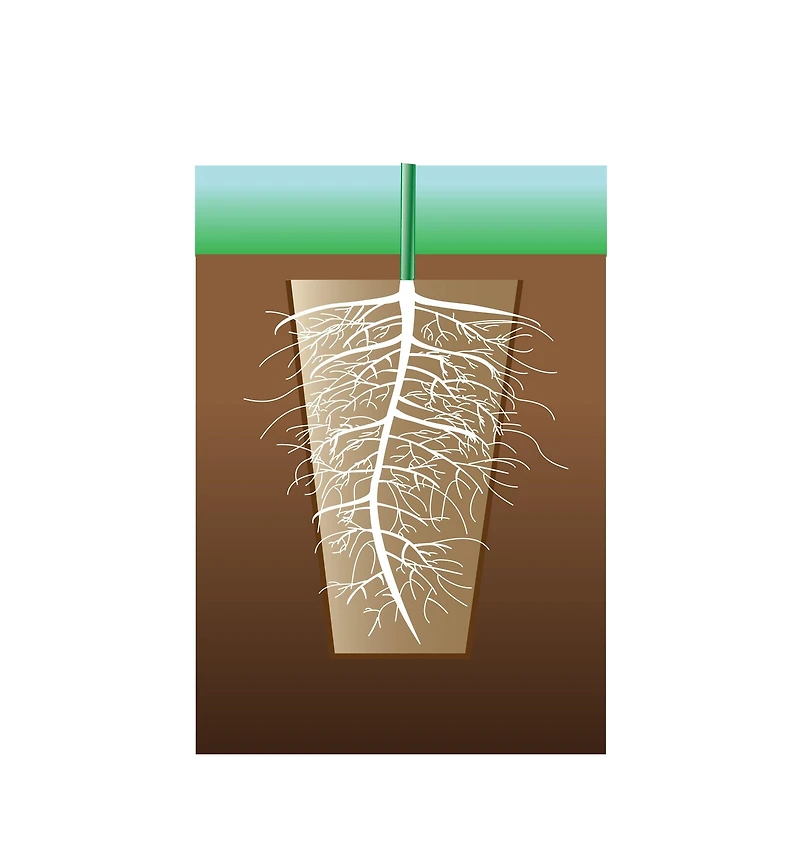 Fiber Pots
