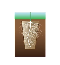 Fiber Pots