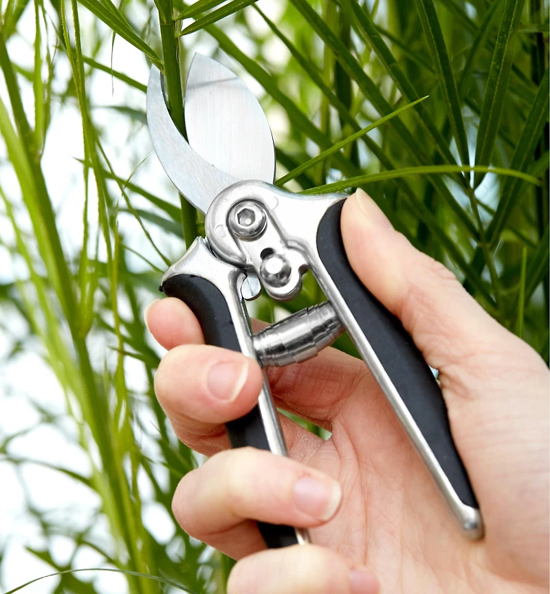 Pocket Pruner