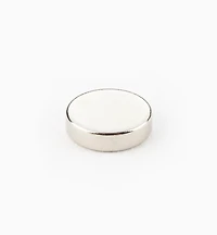 Rare-Earth Circular Magnets