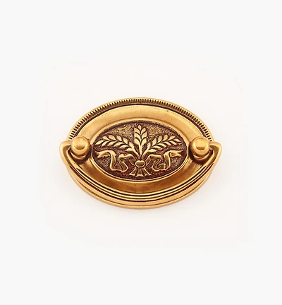 Georgian Cast Plate Pulls