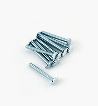 T-Bolts for Veritas T-Slot Tracks (5/16-18 Thread)