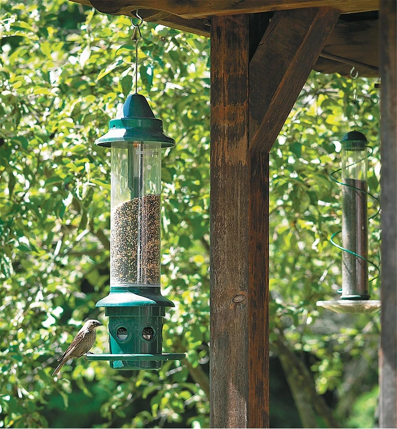 Mangeoire Squirrel Buster Plus