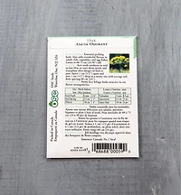 Sachets de semences fines herbes OSC