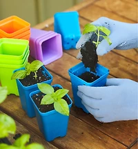 2 1/2" Multicolor Pots