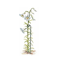 Tuteurs pour plantes à fleur
