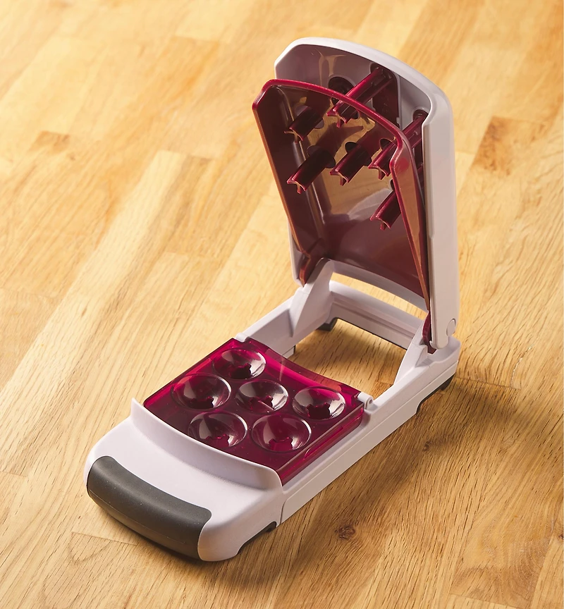 Dénoyauteur pour six cerises