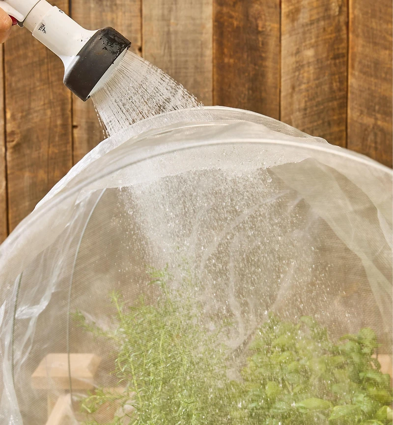 Insect Protection Fabric & Pack of 10 Hoops