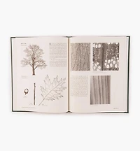 With The Grain – A Craftman's Guide to Understanding Wood