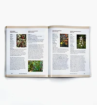 A Garden for the Rusty-Patched Bumblebee: Creating Habitat for Native Pollinators – Ontario and Great Lakes Edition