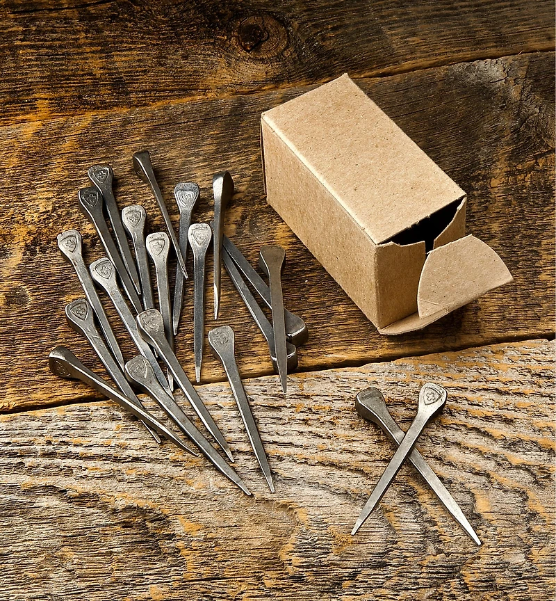 Clous de fer à cheval anciens