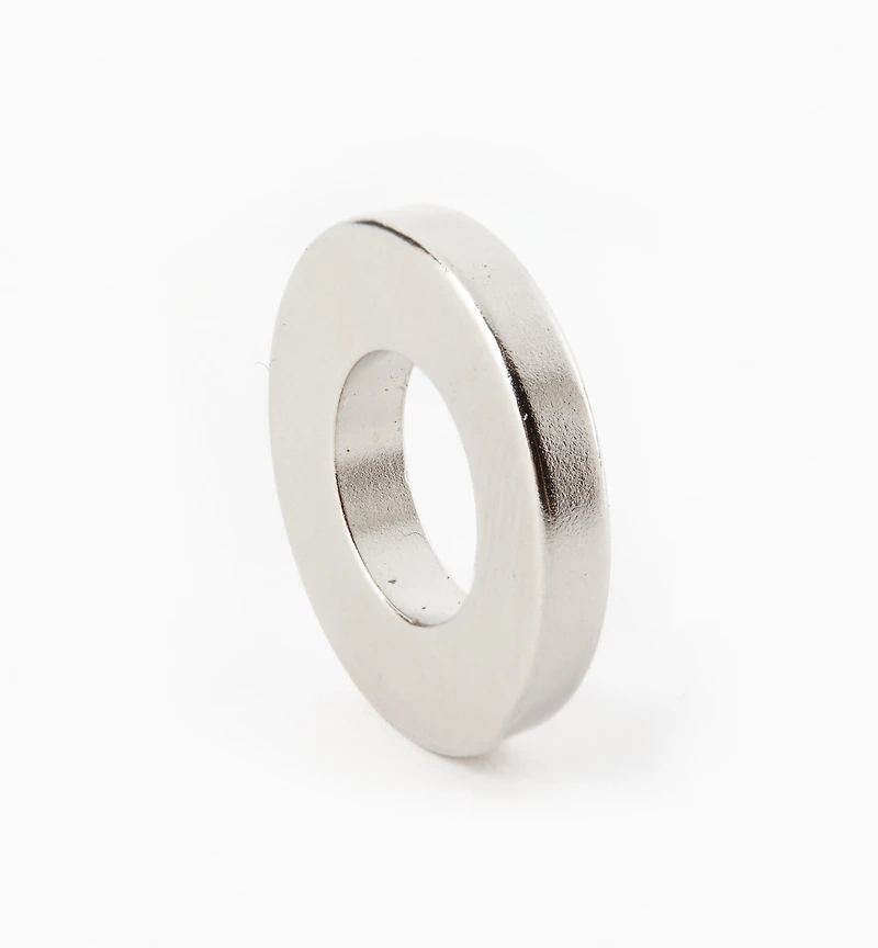 Rare-Earth Ring Magnets