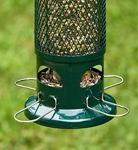 Squirrel Buster Standard Bird Feeder