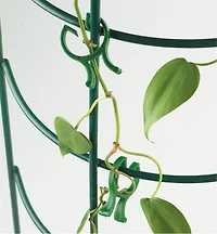 Pinces pour sarments de vigne