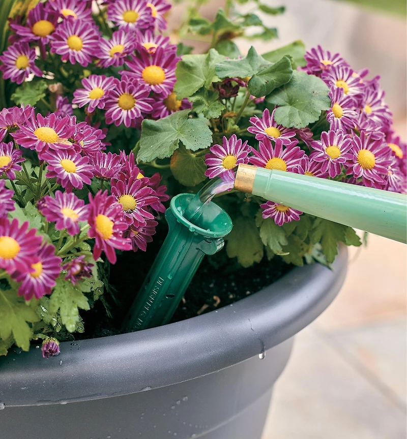 PlantWell Watering Bulb