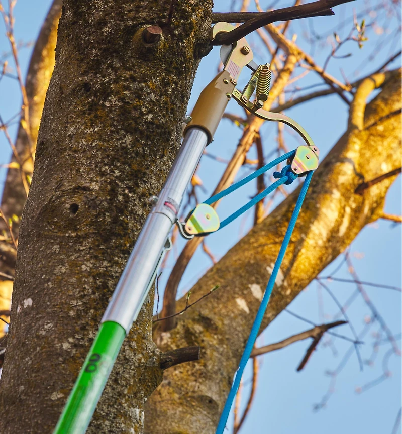 Jameson Professional Tree-Pruning Kit
