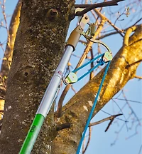 Jameson Professional Tree-Pruning Kit