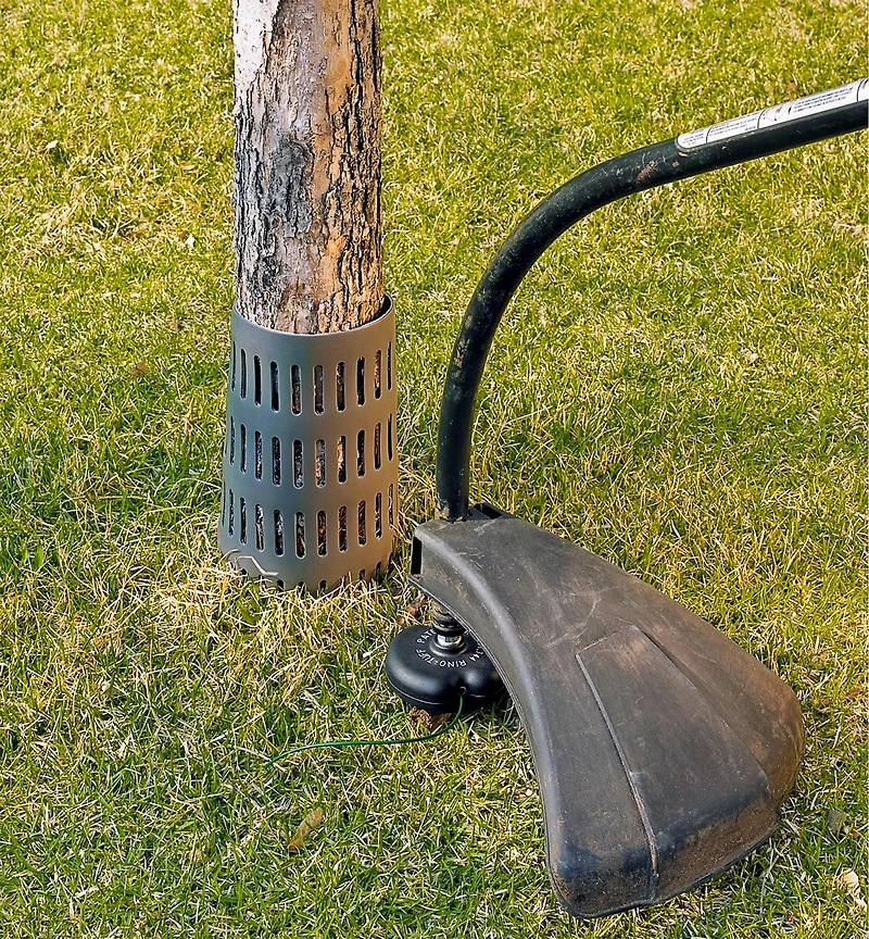 Protecteur pour tronc d'arbre