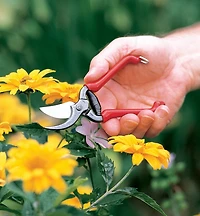Forged Pocket Pruner