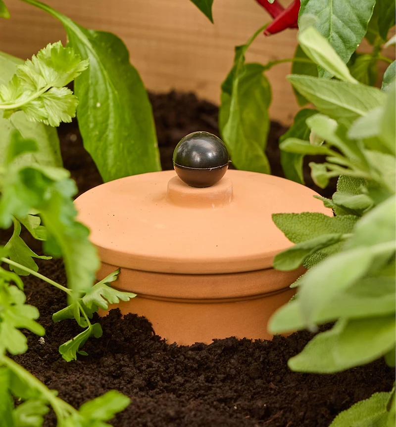 3 Litre Olla