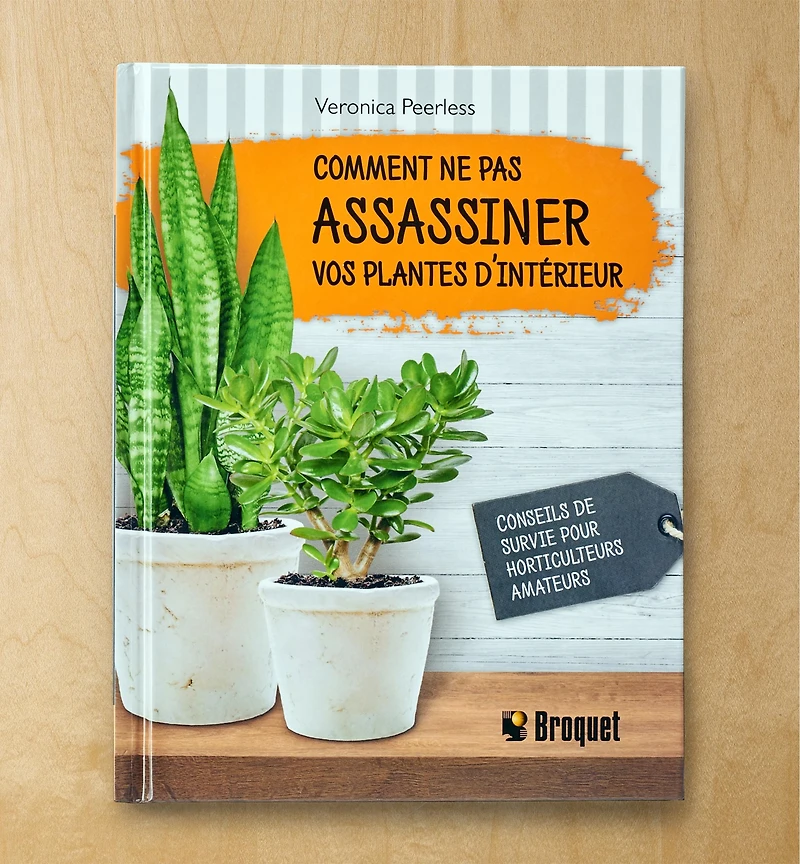 Comment ne pas assassiner vos plantes d'intérieur