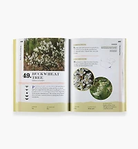 100 Plants to Feed the Bees