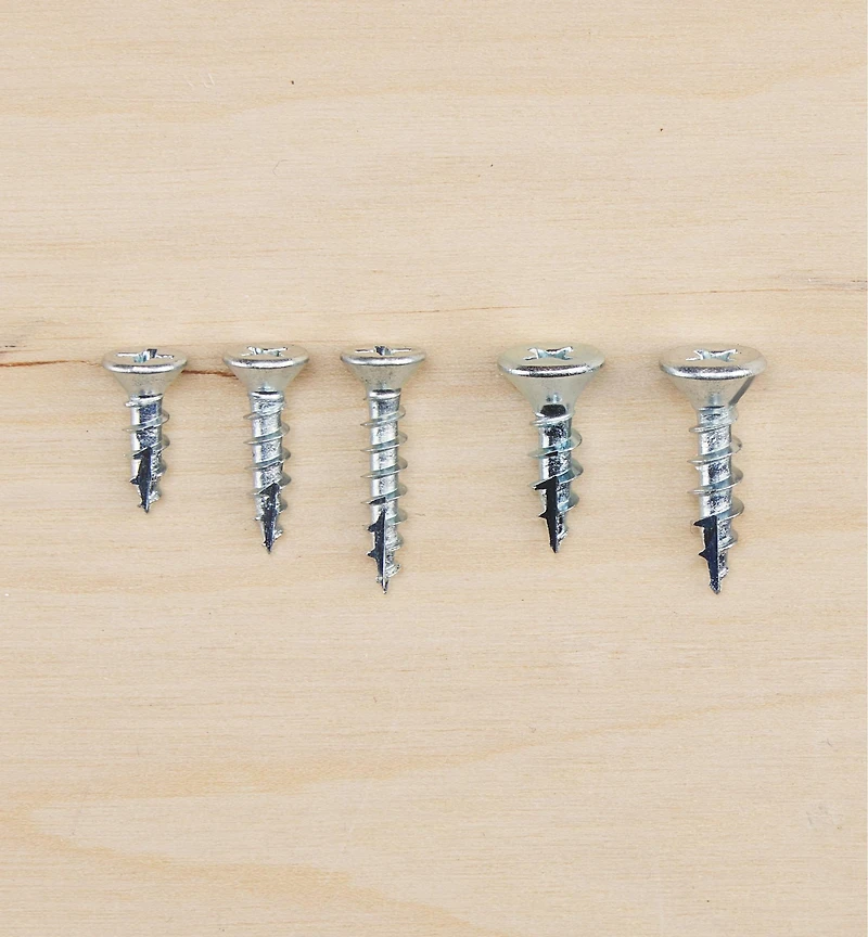 Phillips Hinge Edge Screws
