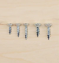 Phillips Hinge Edge Screws
