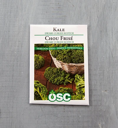 Sachet de semences de chou frisé OSC