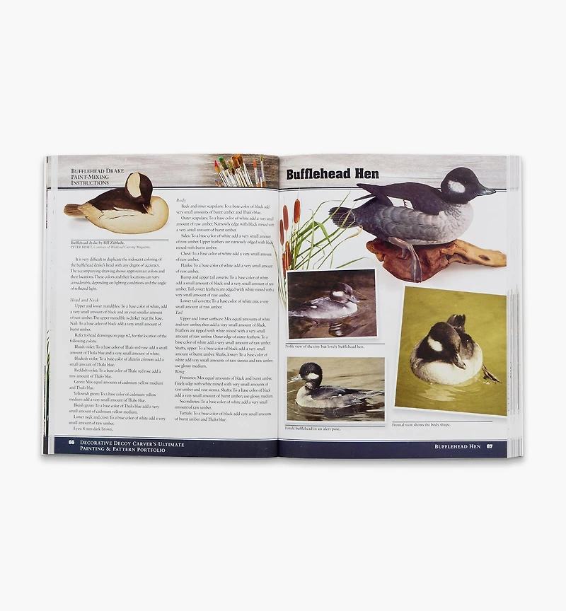 Decorative Decoy Carver's Ultimate Painting & Pattern Portfolio, Series One, Revised Edition