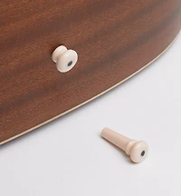 Guitar Bridge & End Pins