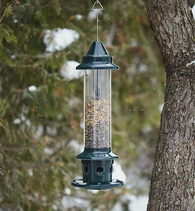 Squirrel Buster Plus Bird Feeder