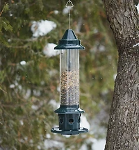 Squirrel Buster Plus Bird Feeder